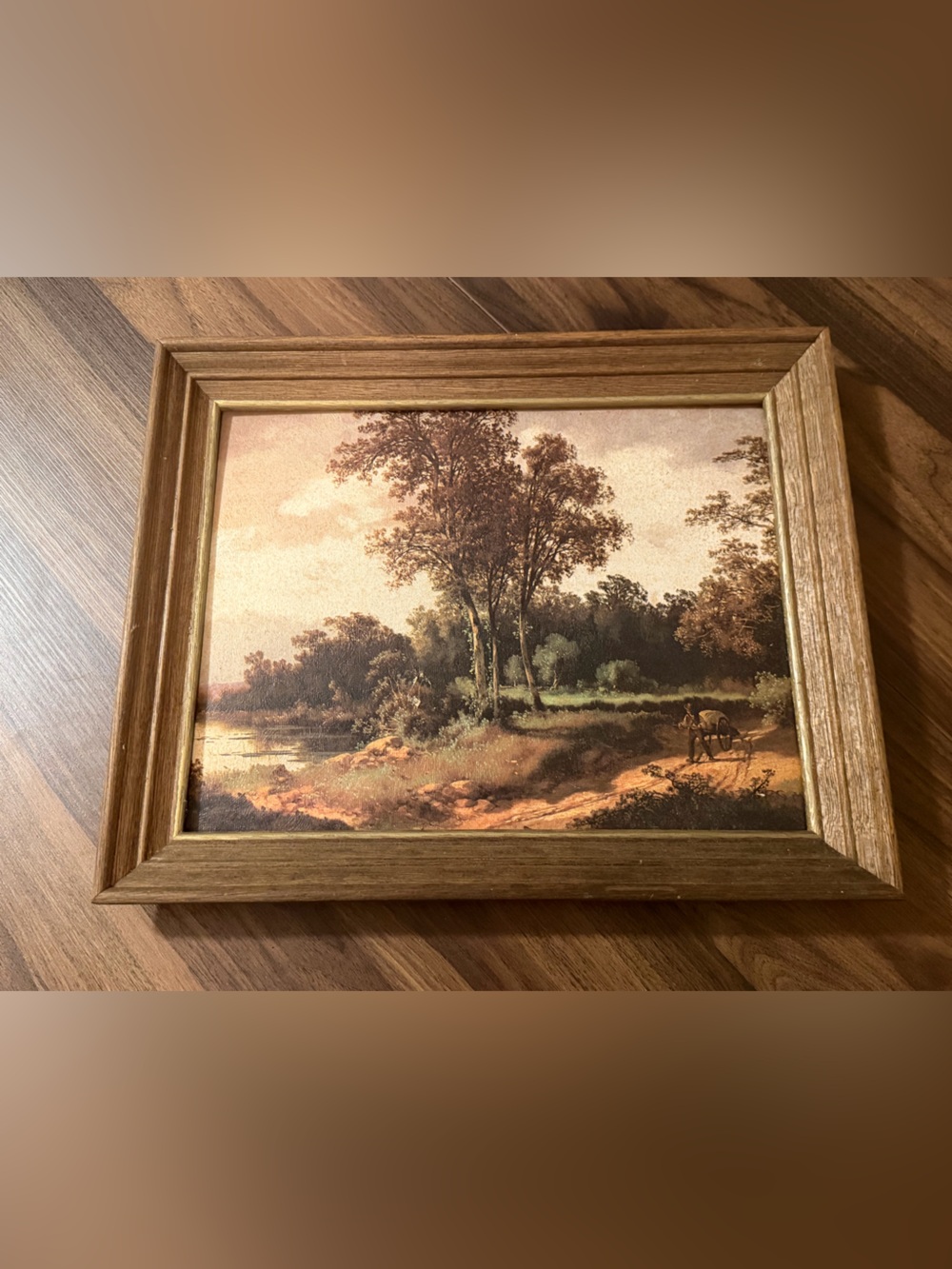 Framed Landscape Art